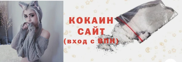 МДПВ Каменногорск