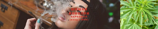 МДПВ Каменногорск