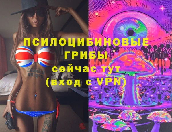 не бодяженный Каменка