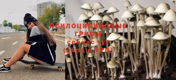 МДПВ Каменногорск
