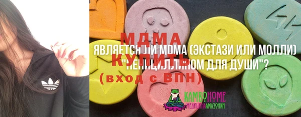МДПВ Каменногорск