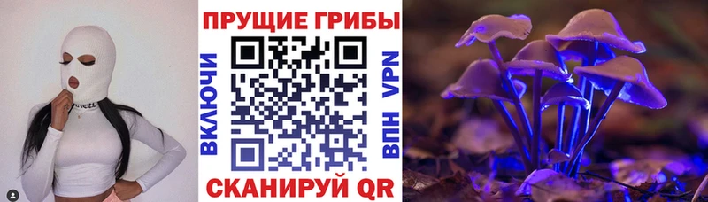 Псилоцибиновые грибы MAGIC MUSHROOMS  Купить закладки  Йошкар-Ола 