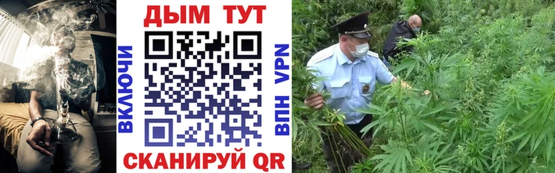 Купить  Йошкар-Ола  Конопля конопля 